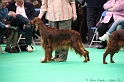 Crufts2011 368